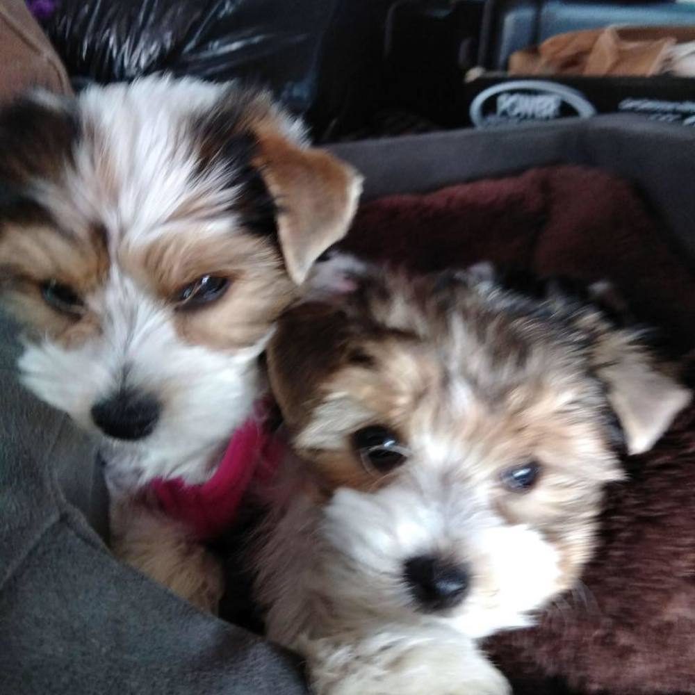 Meet your Posher, Vicki